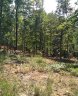 6003 N Mt Vernon Drive sold home in Seneca, SC
