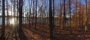 00 Northview Court Lot 23 sold home in Fair Play, SC