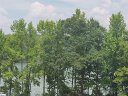 106 Northlake Drive sold home in Anderson, SC