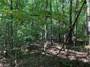 Lot S The Bear Boulevard sold home in Tamassee, SC
