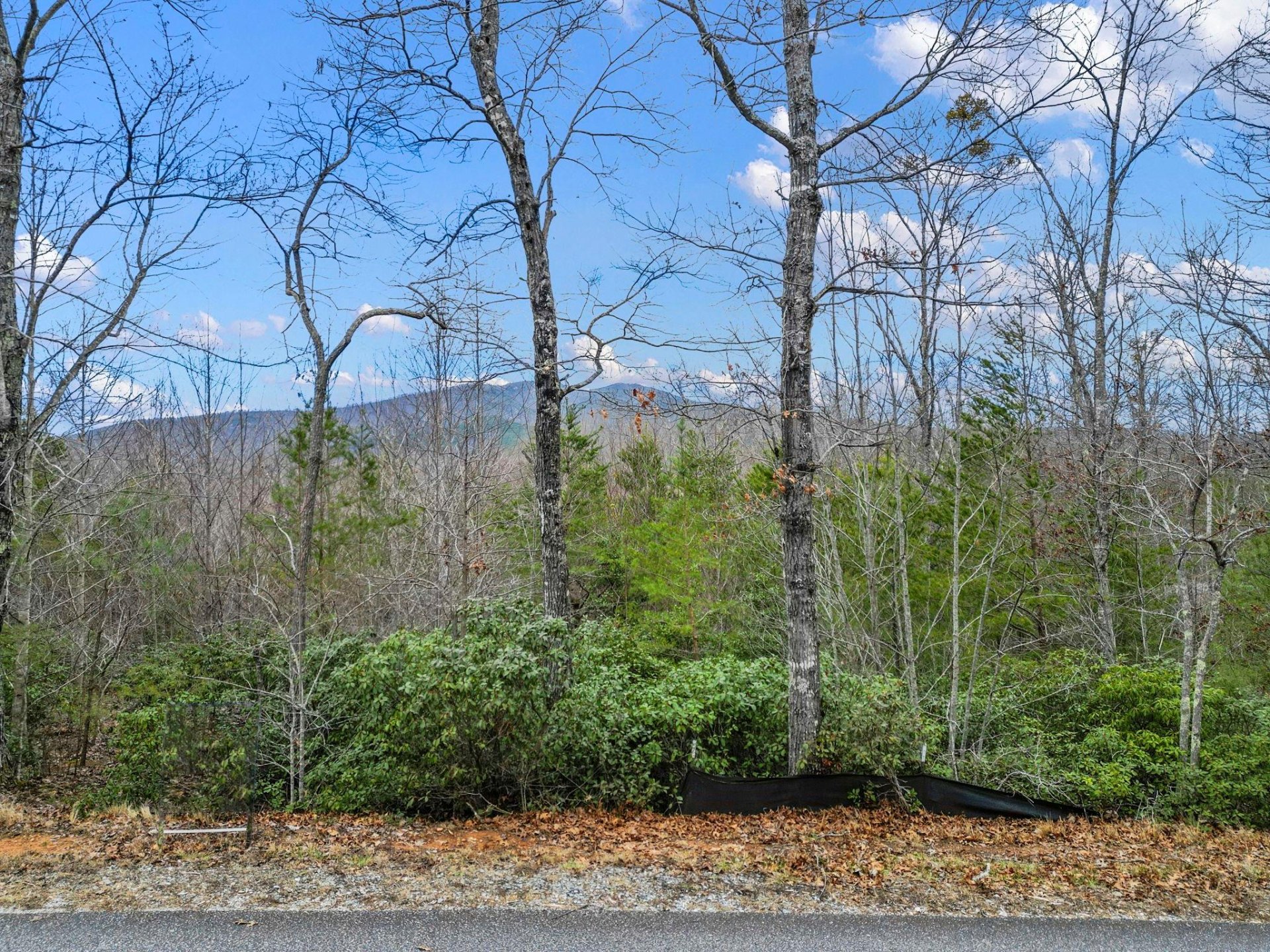 Property image 1 at Tbd N Bear Cliff Drive, Marion, NC 28752