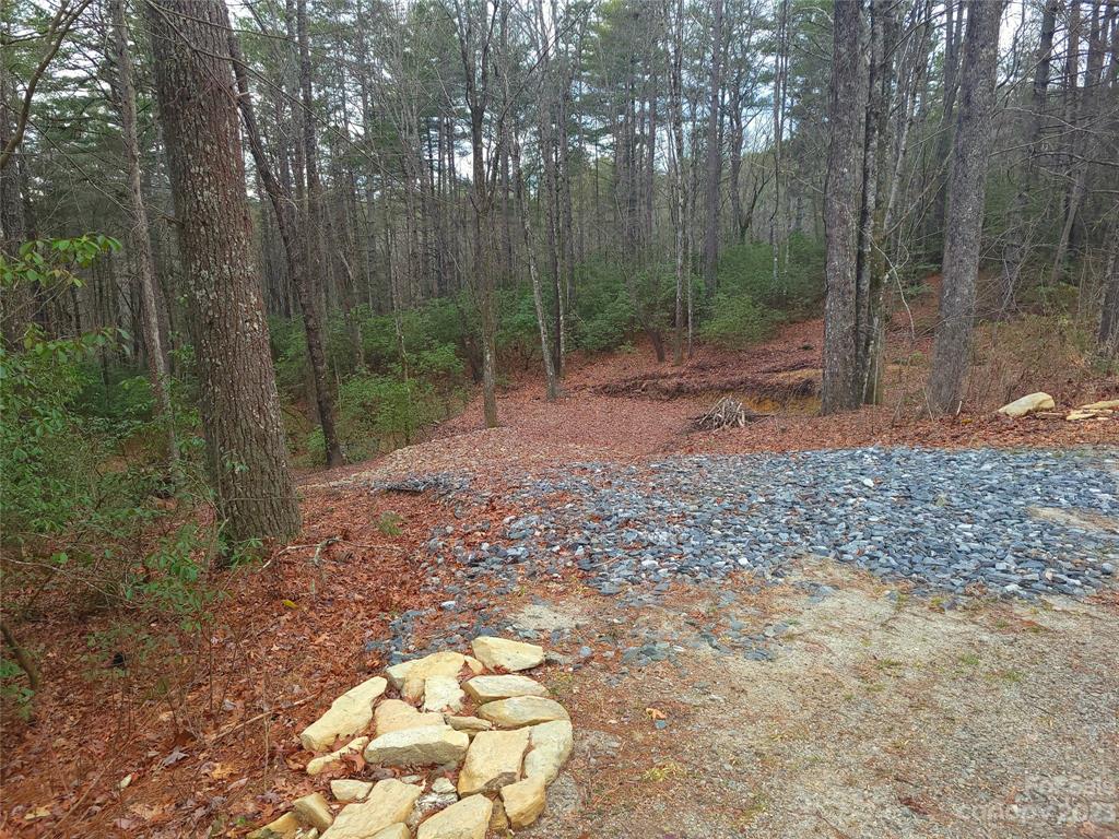 Property image 1 at L 7 Oak Laurel Road, Brevard, NC 28712