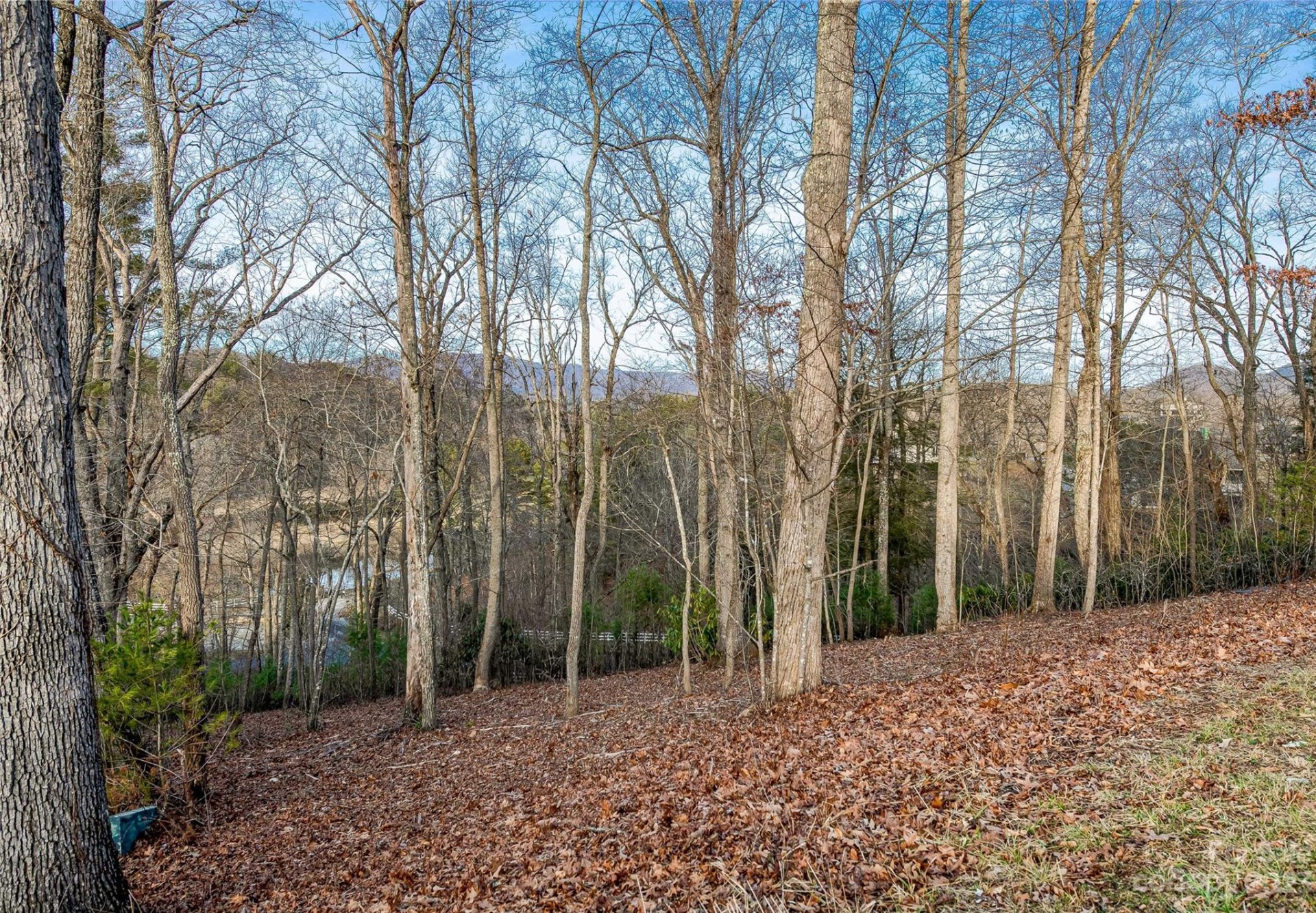 Property image 1 at 73 Bradford Vista, Fletcher, NC 28732