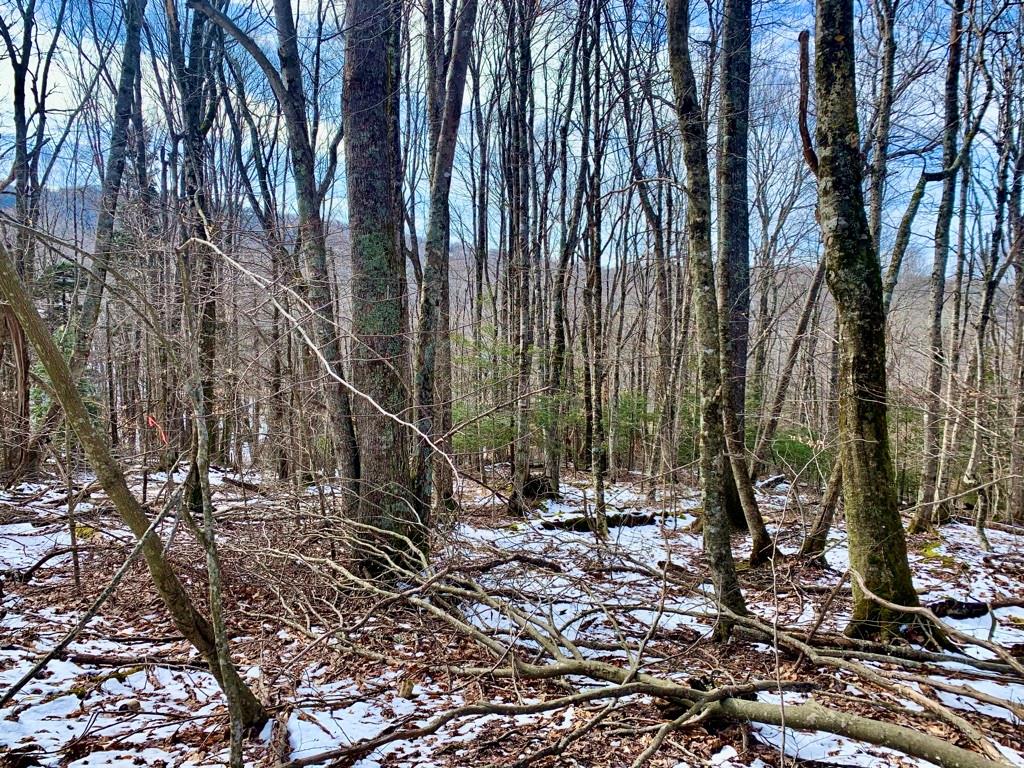 Property image 1 at 135 Greenbriar Road, Beech Mountain, NC 28604