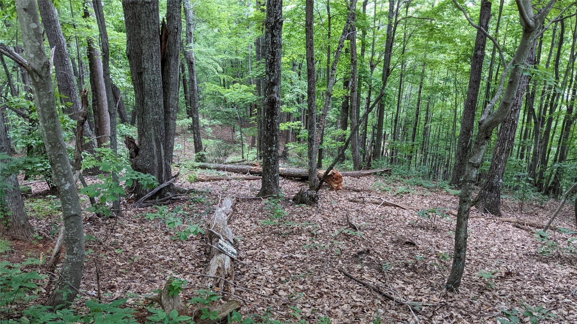 Property image 1 at Lot 69 Mountain Crest Drive, Marion, NC 28752