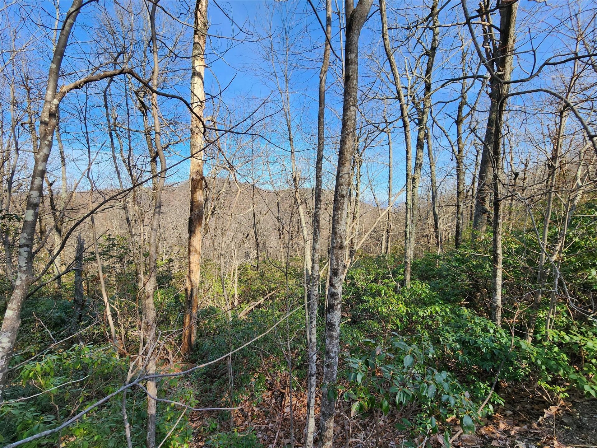 Property at Lot 22 Sunset Ridge Drive, Columbus, NC 28722