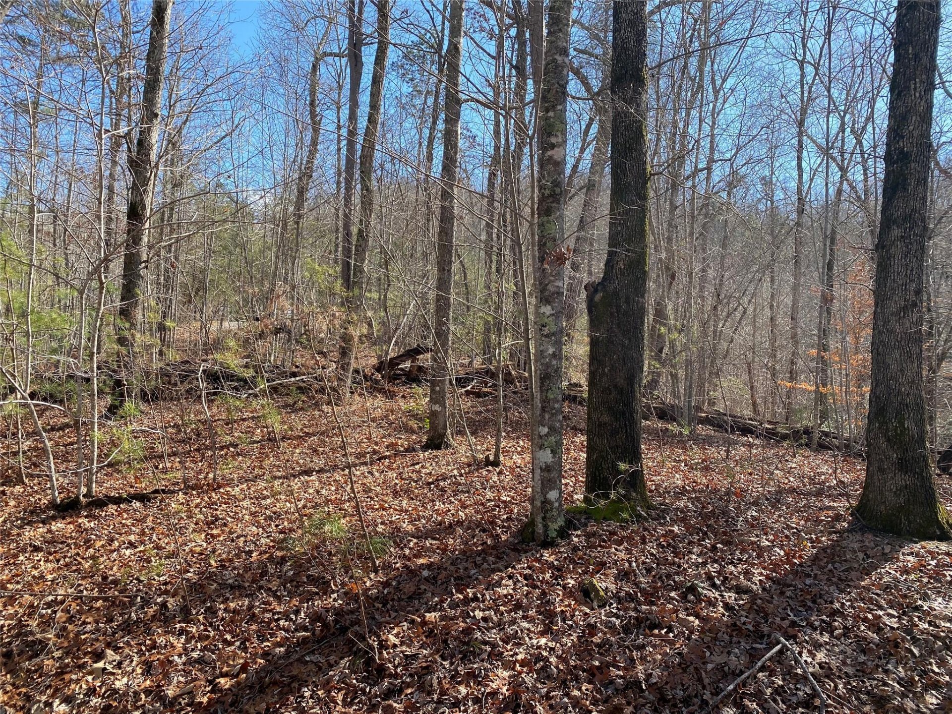 Property image 1 at Lot 106 High Pines Loop, Lake Lure, NC 28746