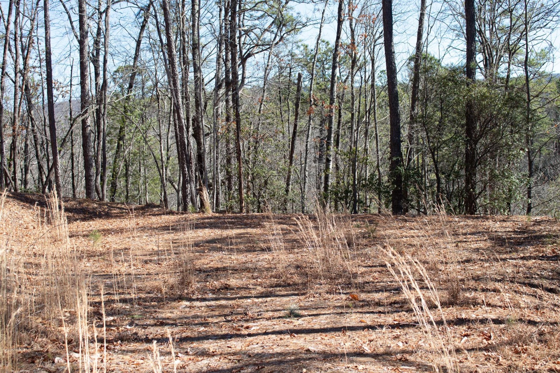 Property image 1 at Lot 83 Oak Laurel Road, Brevard, NC 28712