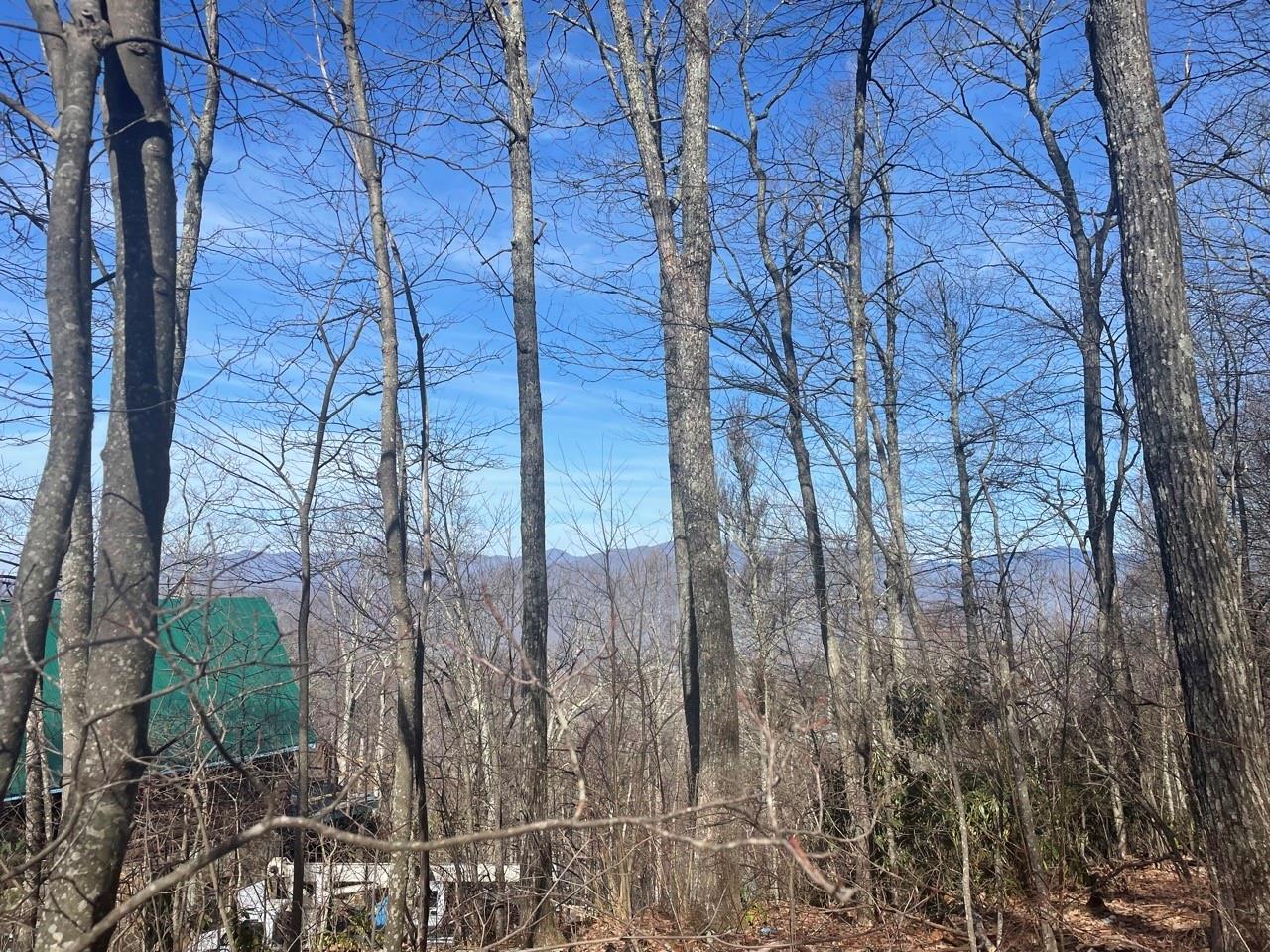 Property image 1 at 99999 Lytle Cove Road, Swannanoa, NC 28778
