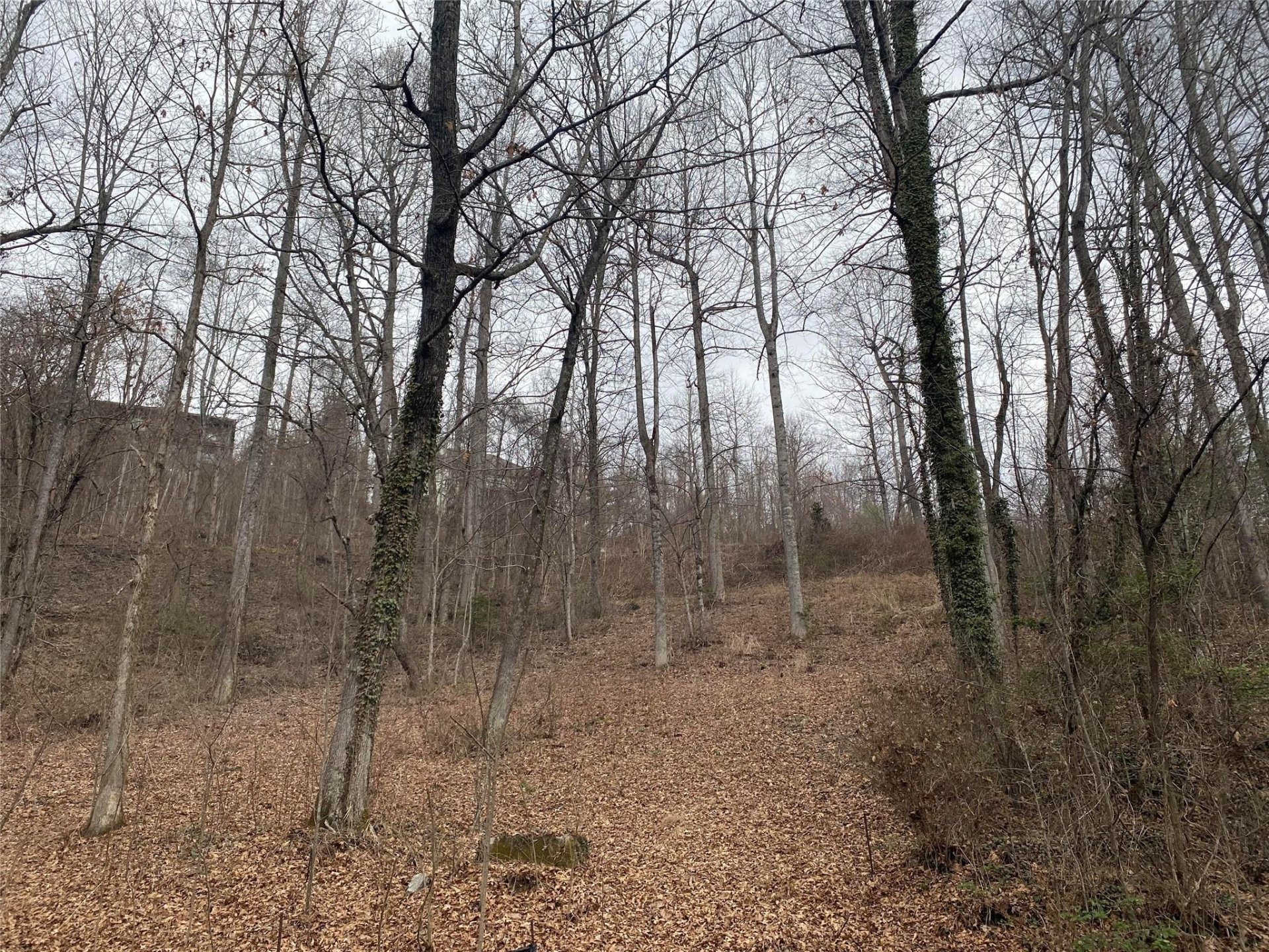 Property image 1 at 130 High Road Overlook, Hendersonville, NC 28739