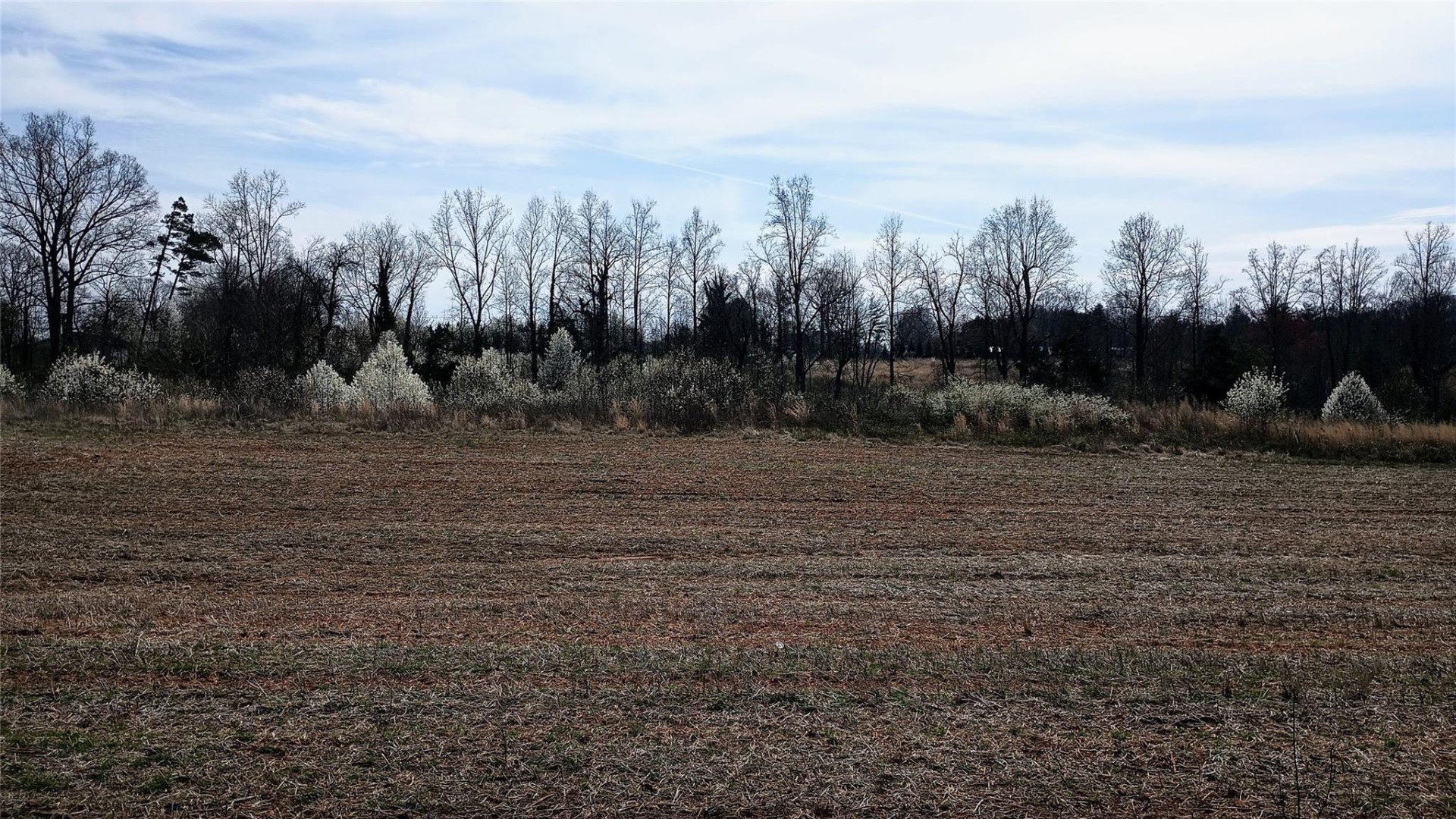 Property image 1 at 0 Paul Payne Store Road, Taylorsville, NC 28681