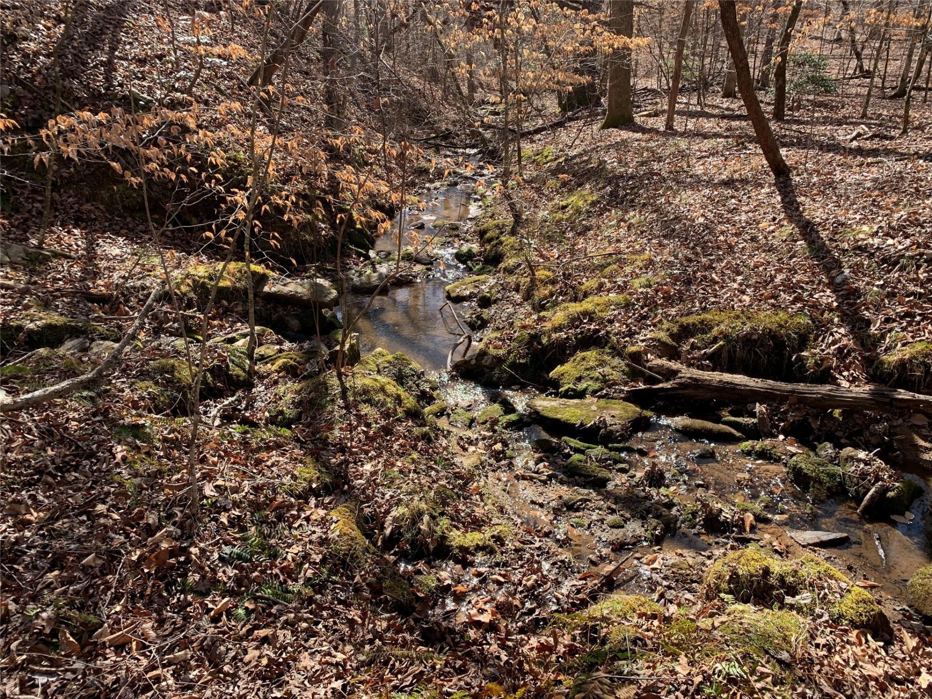 Property image 1 at 0 Valley Drive, Rutherfordton, NC 28139