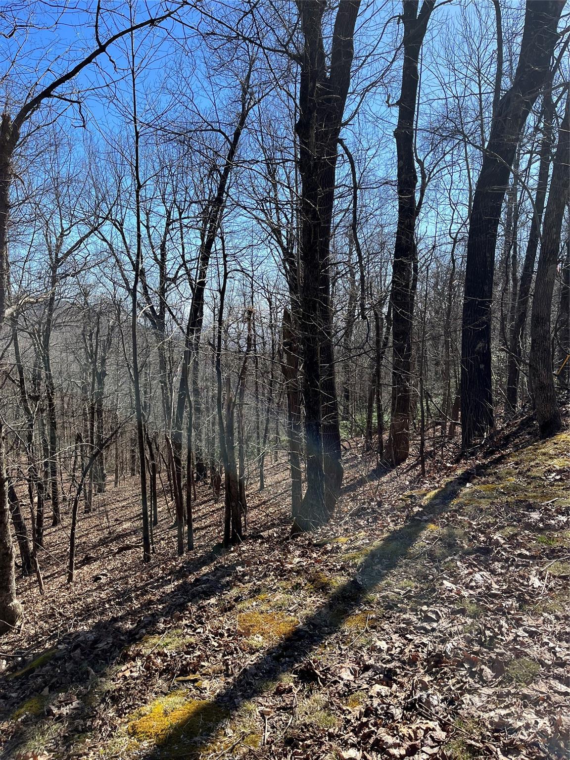 Property at 0 Sunset Ridge Road, Columbus, NC 28722