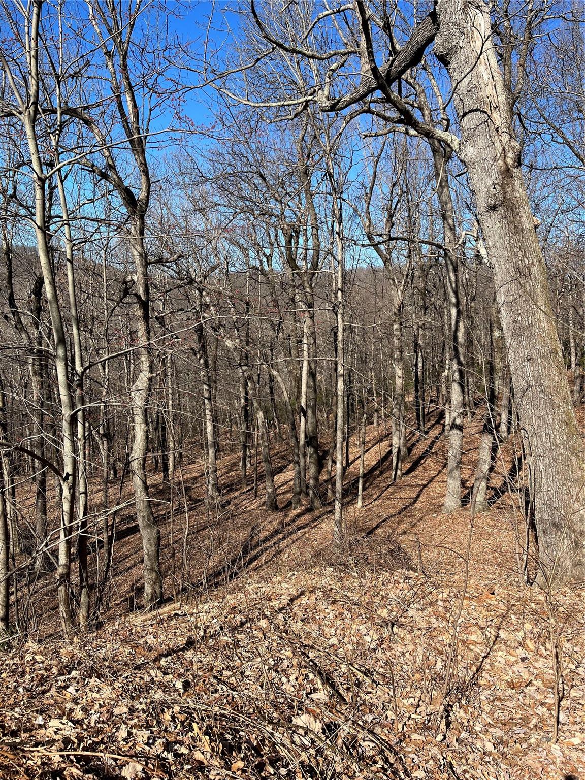 Property at 000 Morning Ride Road, Columbus, NC 28722