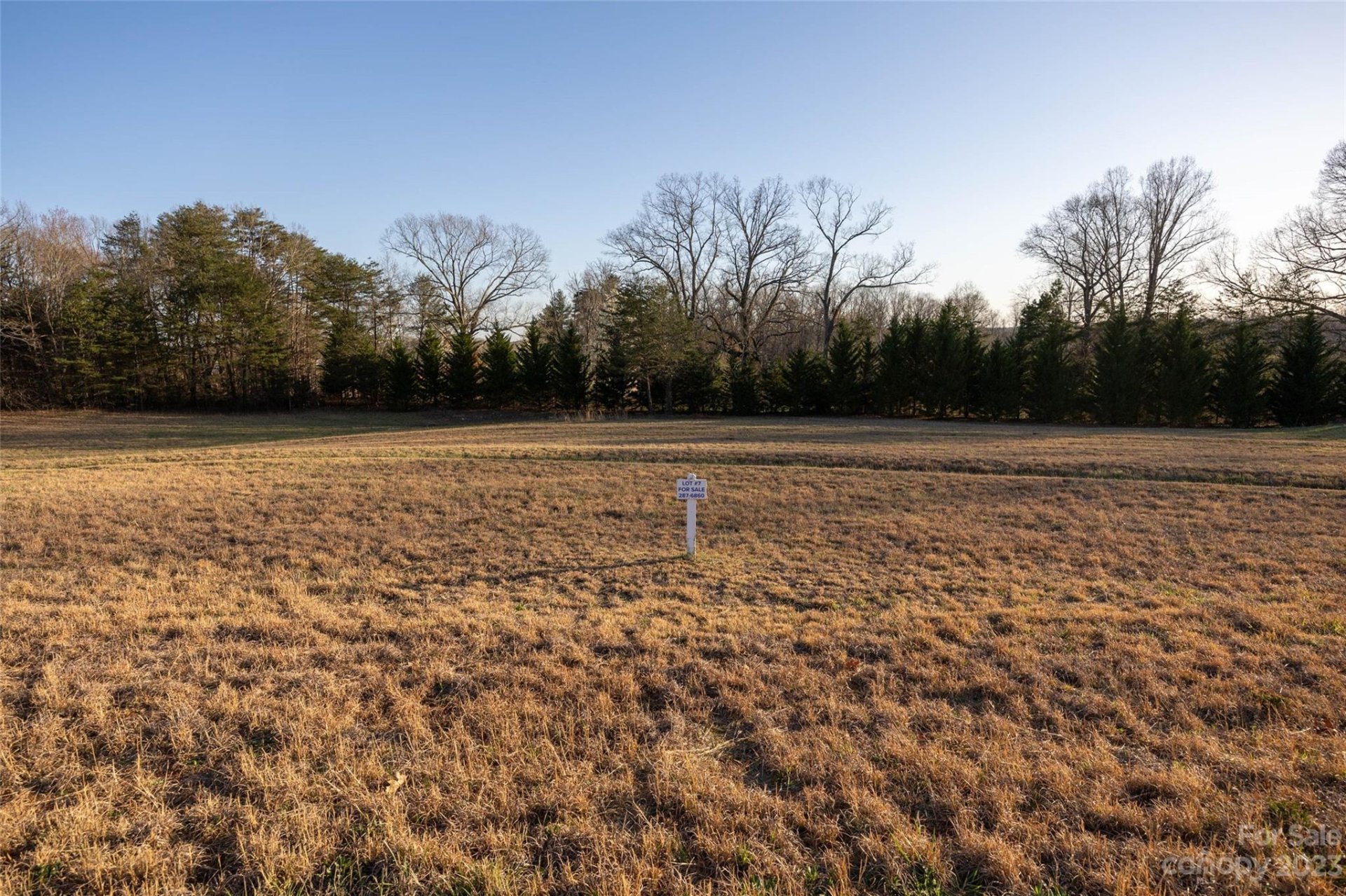 Property image 4 at 0000 Jamesfield Drive, Rutherfordton, NC 28139