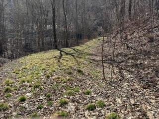 Property image 2 at 975 Asgi Trail, Maggie Valley, NC 28751