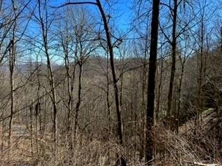 Property image 3 at 975 Asgi Trail, Maggie Valley, NC 28751