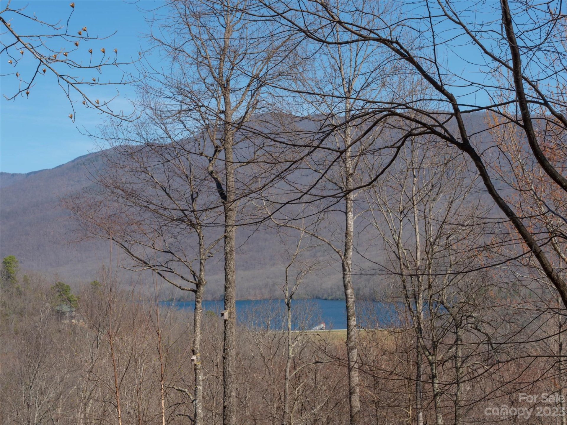 Property image 3 at 26 Great Aspen Way, Black Mountain, NC 28711