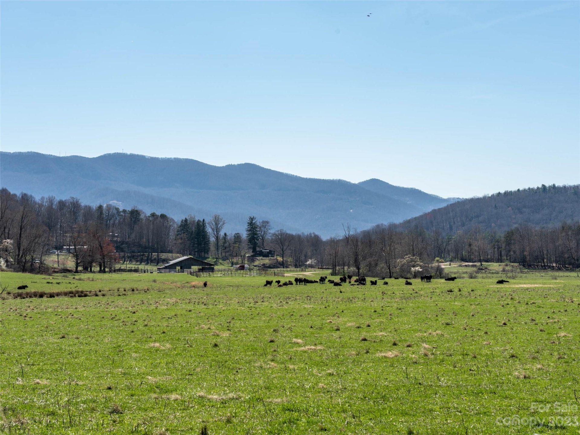 Property image 5 at 26 Great Aspen Way, Black Mountain, NC 28711