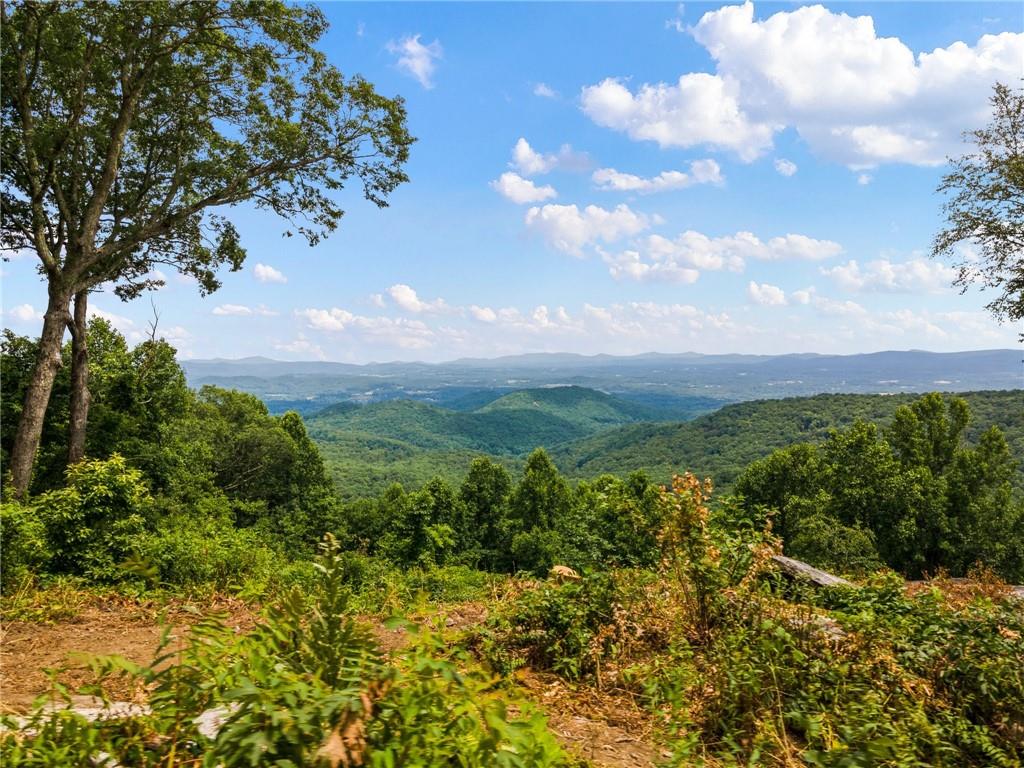 Property image 1 at 1 Laurel Ledge Way, Fletcher, NC 28732