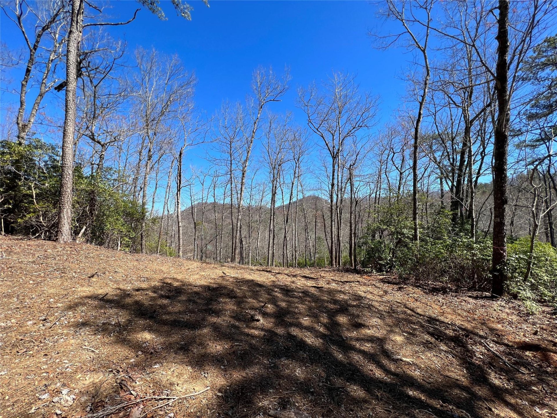 Property image 1 at 220 Cheyenne Falls Trail, Black Mountain, NC 28711
