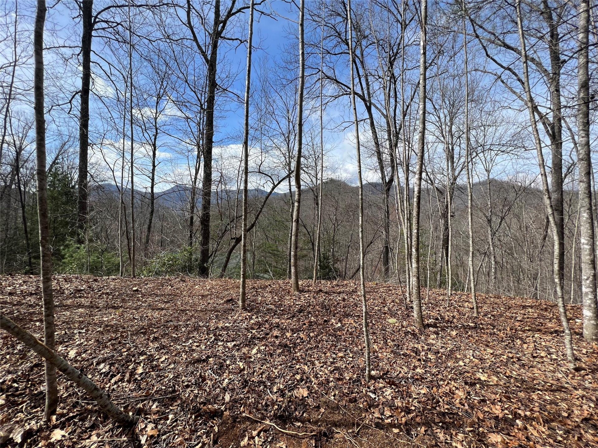 Property image 1 at 195 Fallen Oak Drive, Sylva, NC 28779