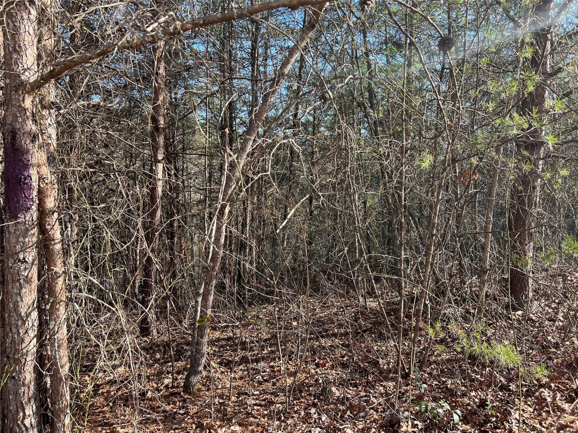 4801 Pea Ridge Road