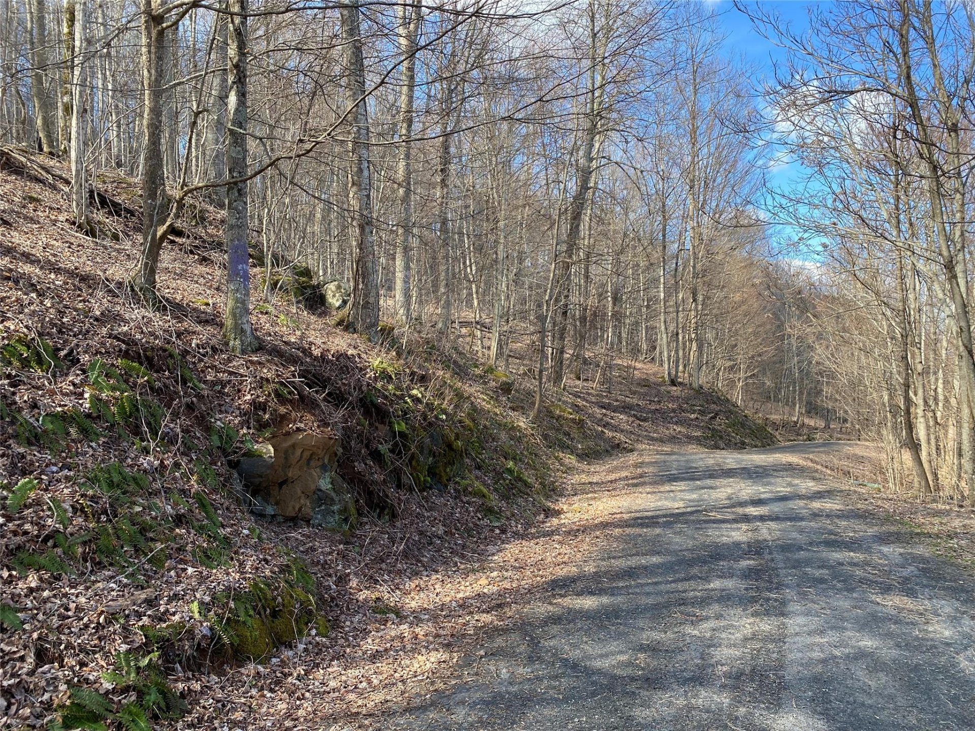 Property image 1 at Lot Iii Bear Springs Road, Bakersville, NC 28705