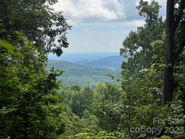 Property image 5 at 20 High Cliffs Trail, Black Mountain, NC 28711