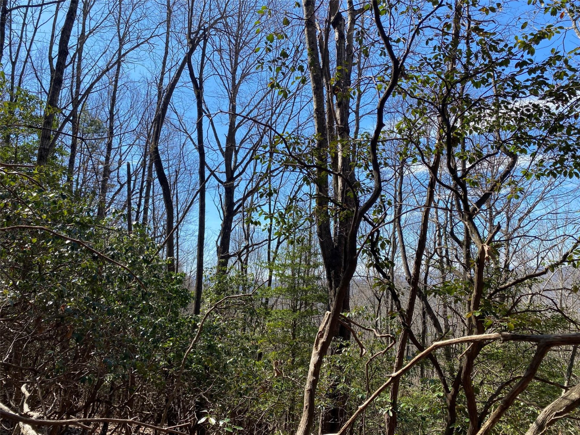 Property image 2 at Lot 187 Wild Cherry Drive, Mills River, NC 28759