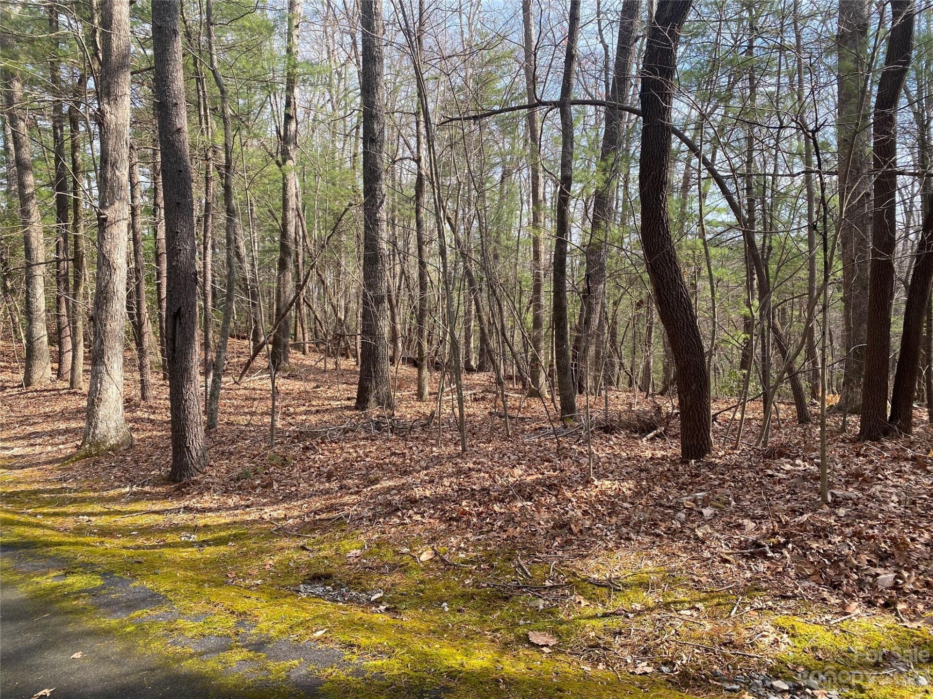 Property image 1 at 000 Sherwood Drive, Flat Rock, NC 28731