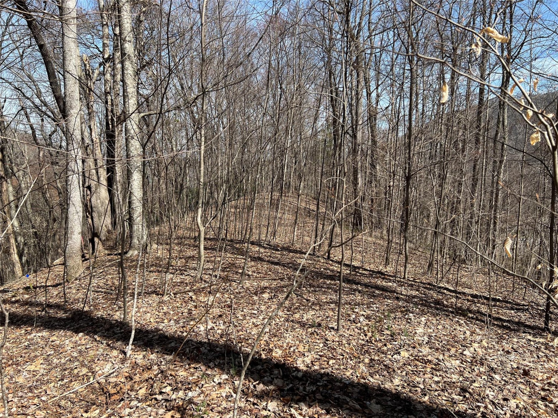 Property image 1 at 23 Early Spring Way, Leicester, NC 28748