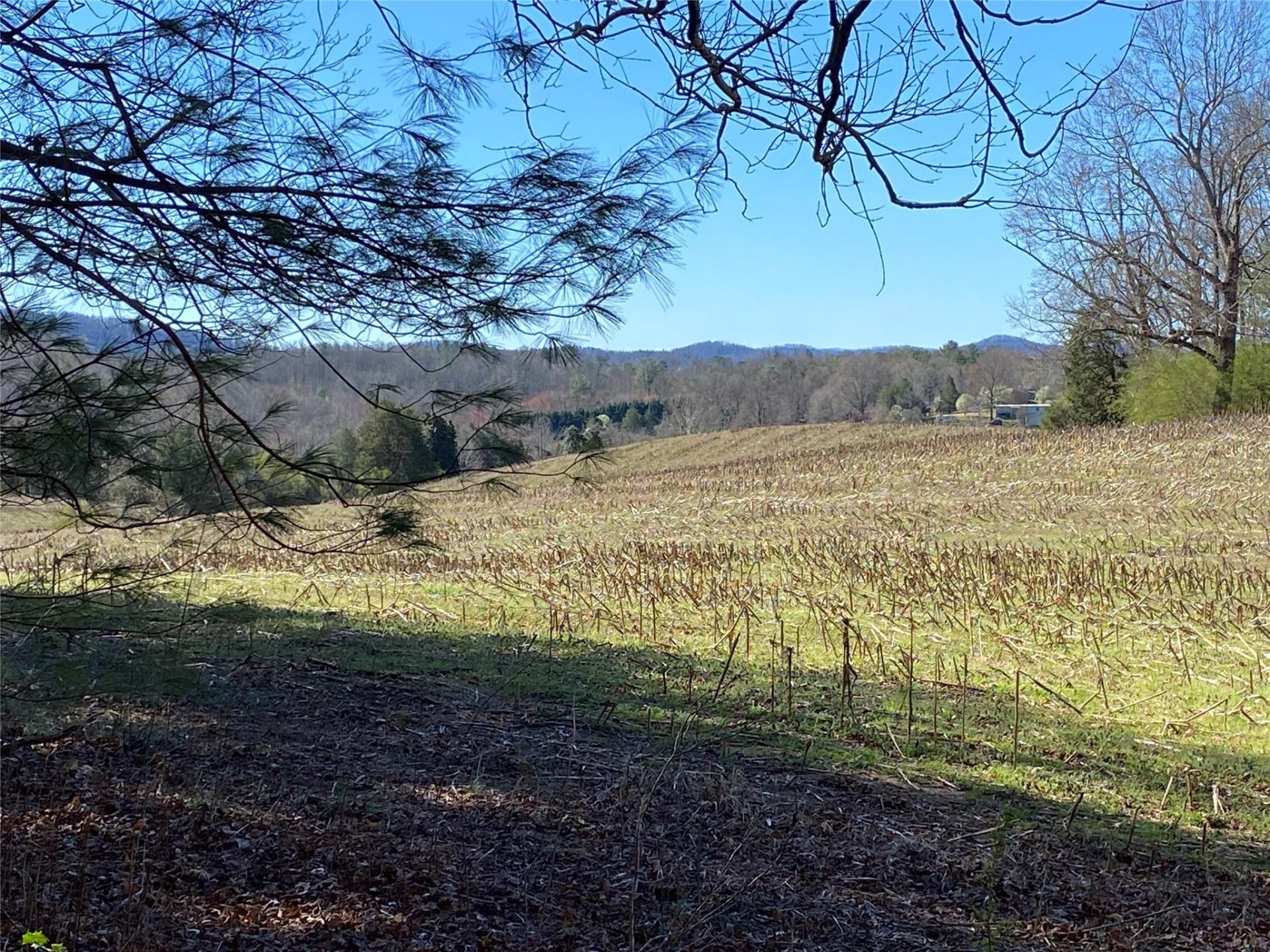 Property image 1 at 2085 Piper Ridge Drive, Lenoir, NC 28645