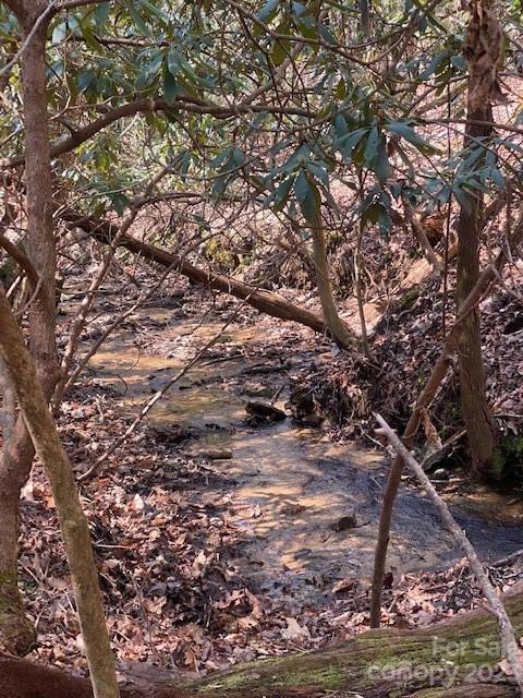 Property image 1 at 368 Campbell Drive, Pisgah Forest, NC 28768