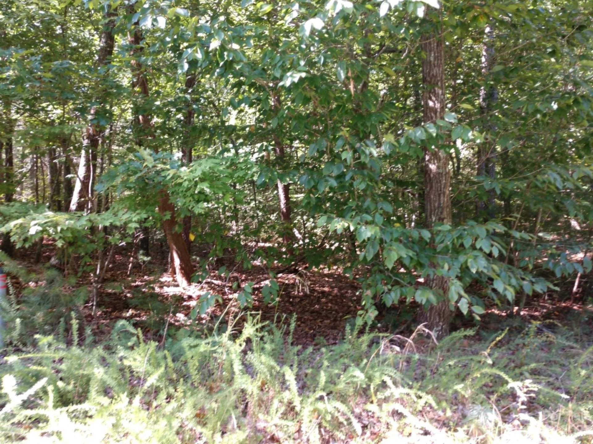 Property image 3 at 00 James View Road, Marion, NC 28752