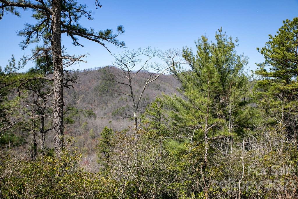 Property image 1 at 76r Oak Laurel Road, Brevard, NC 28712