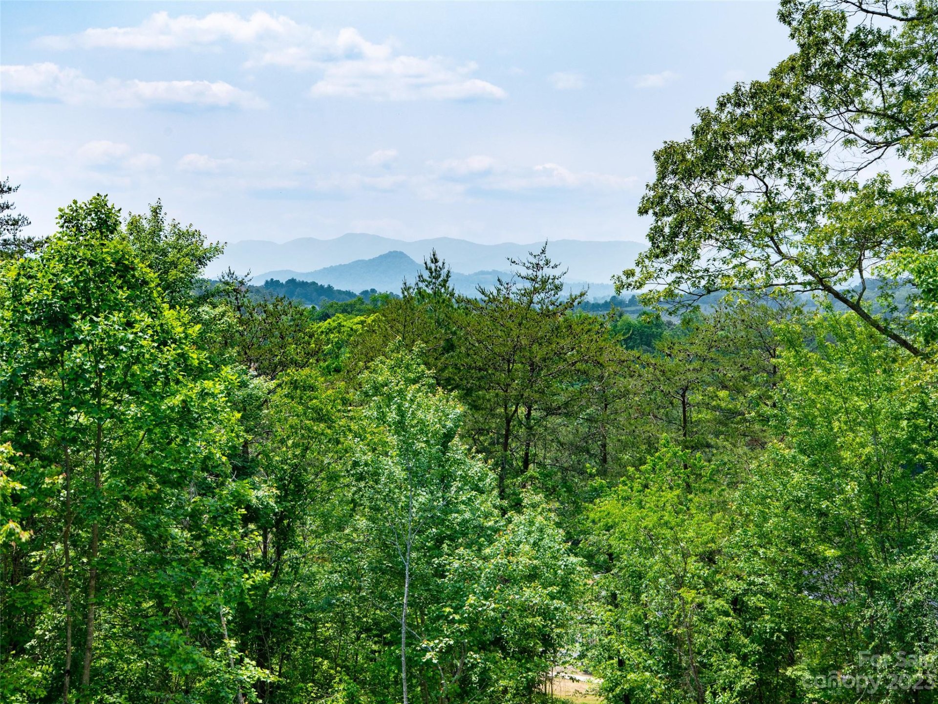 Property image 3 at 124 Saddle Ridge Drive, Alexander, NC 28701