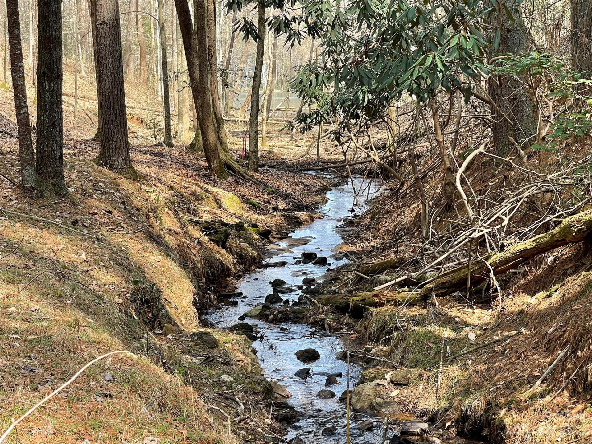 Property image 1 at 3160 Bear Paw Avenue, Valdese, NC 28690