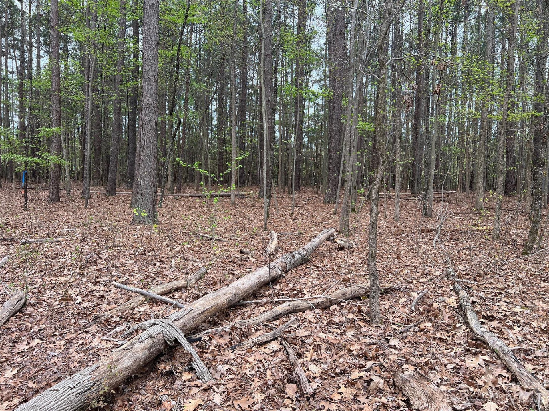 Property image 1 at 920 Tamary Way, Landis, NC 28088