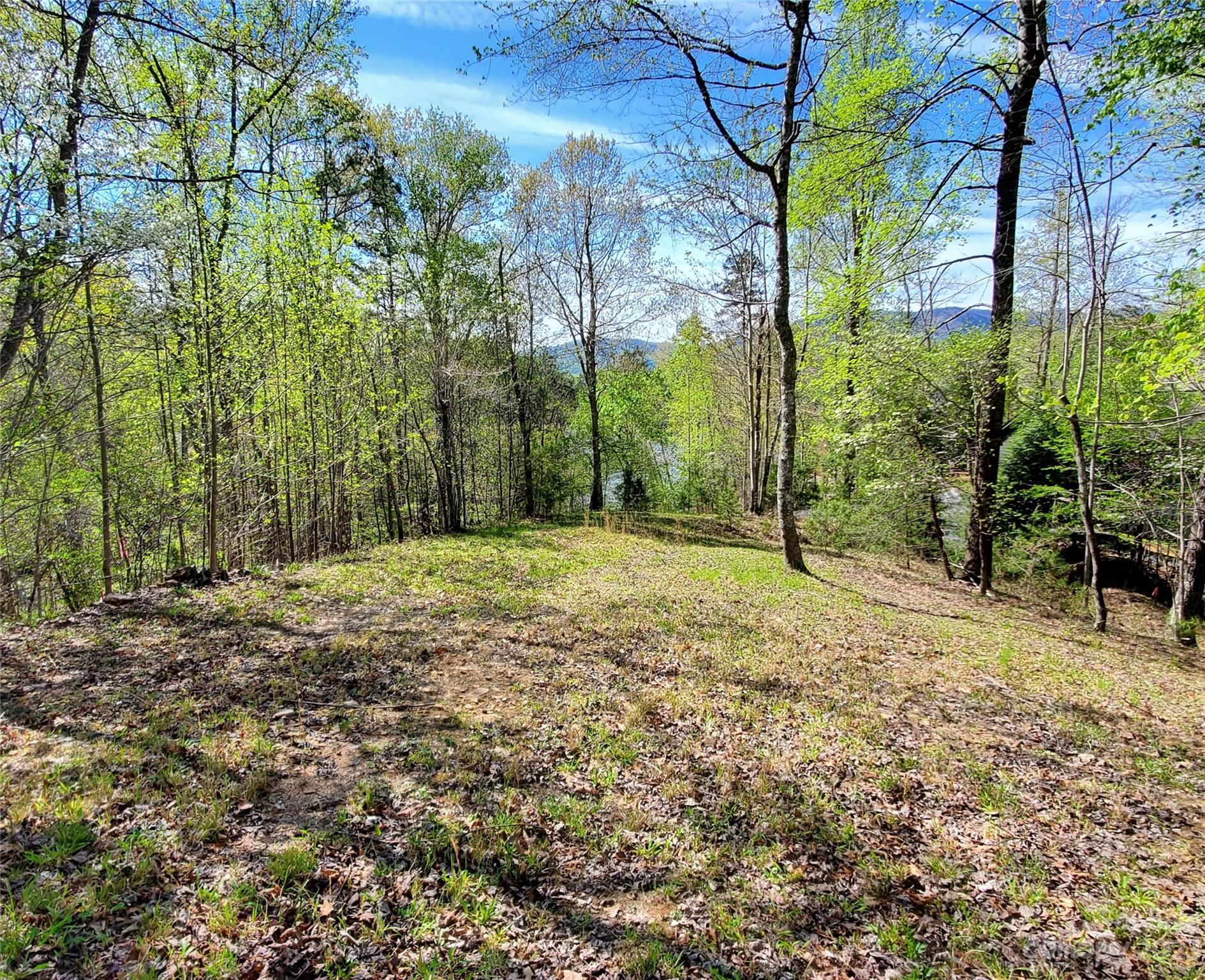 Property image 4 at 10 Mountain Parkway, Mill Spring, NC 28756