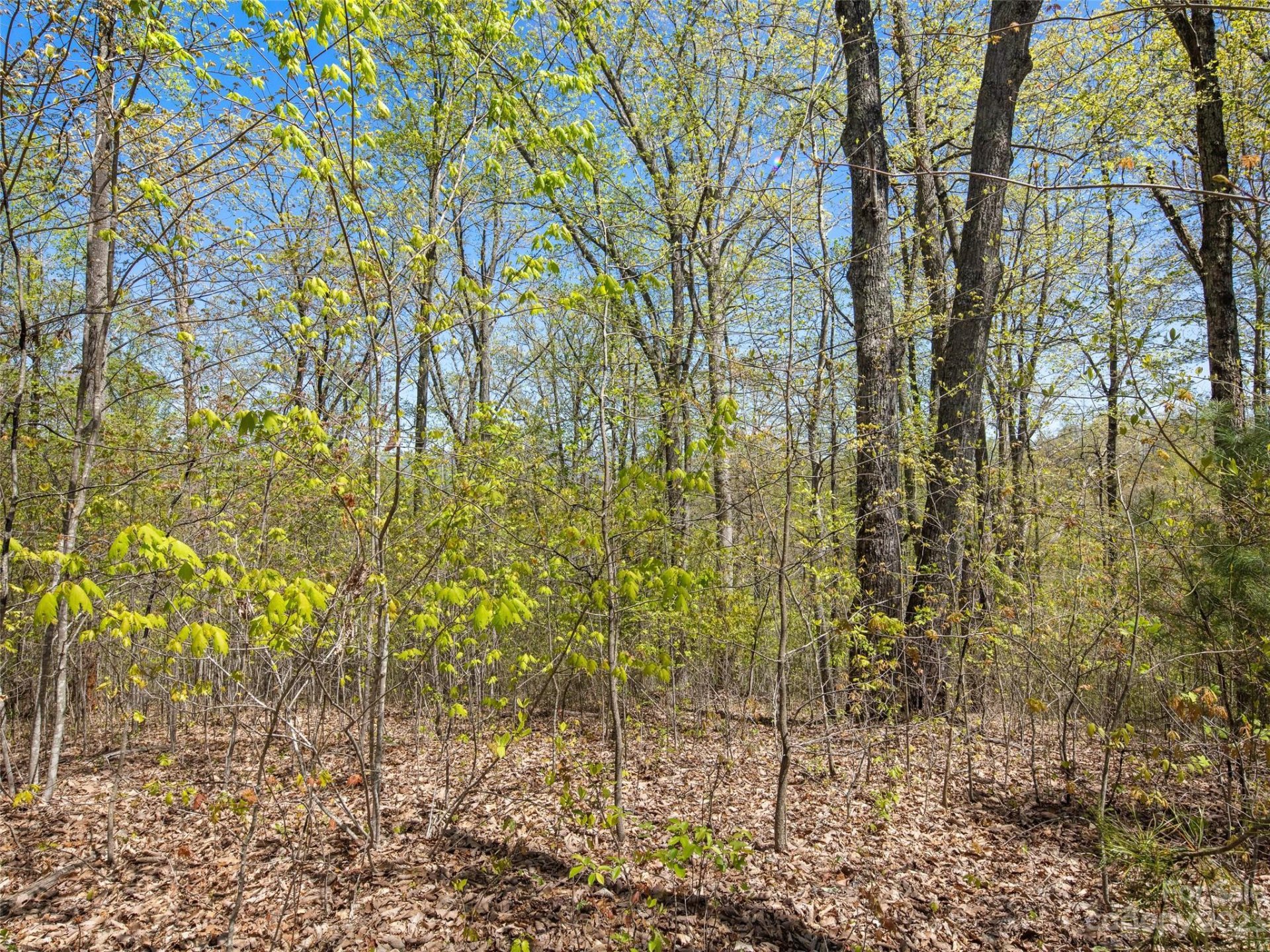 Property image 1 at 63 Chimney Crest Drive, Asheville, NC 28806