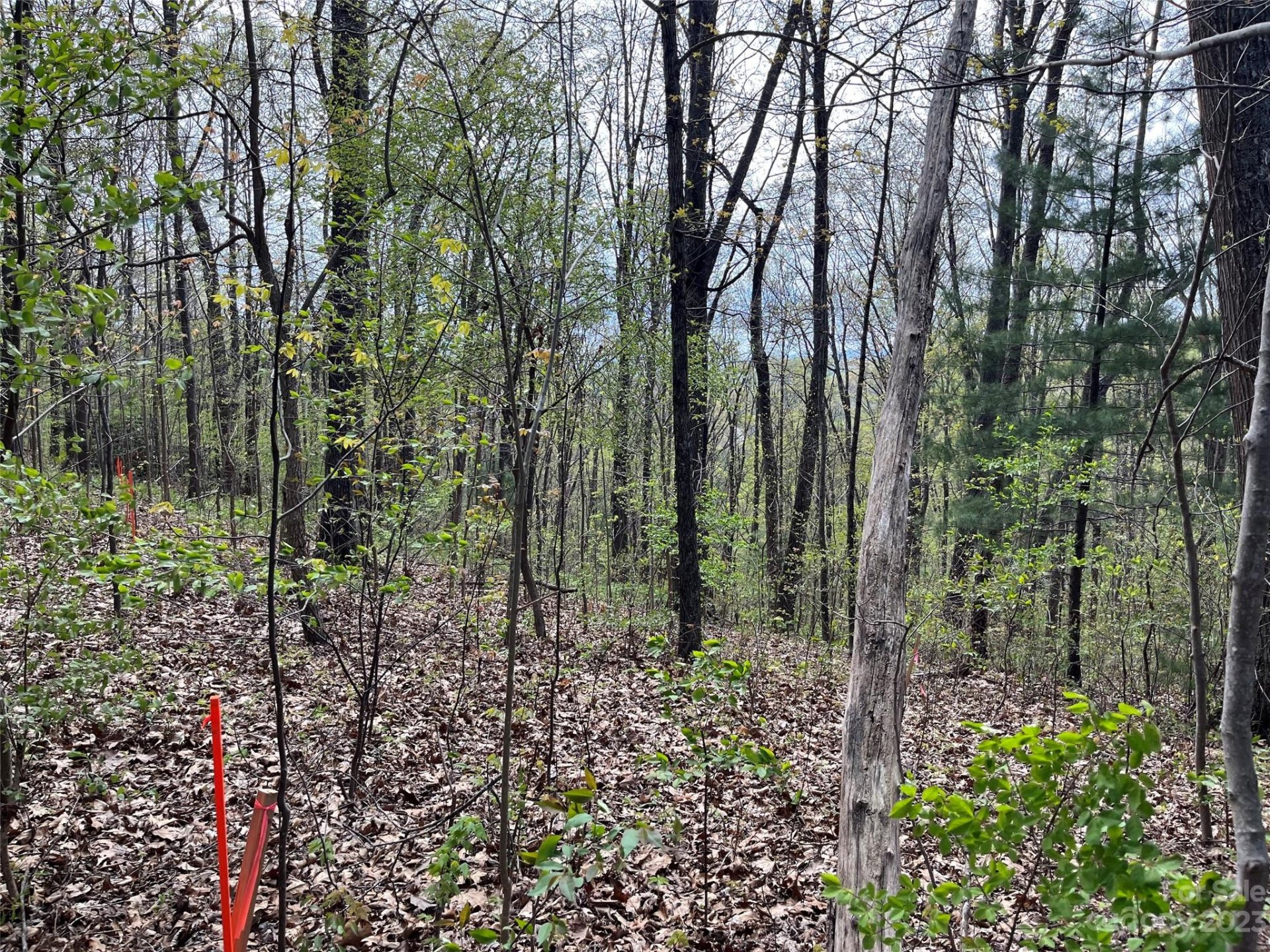 Property image 1 at 99999 Buffalo Trail, Asheville, NC 28805