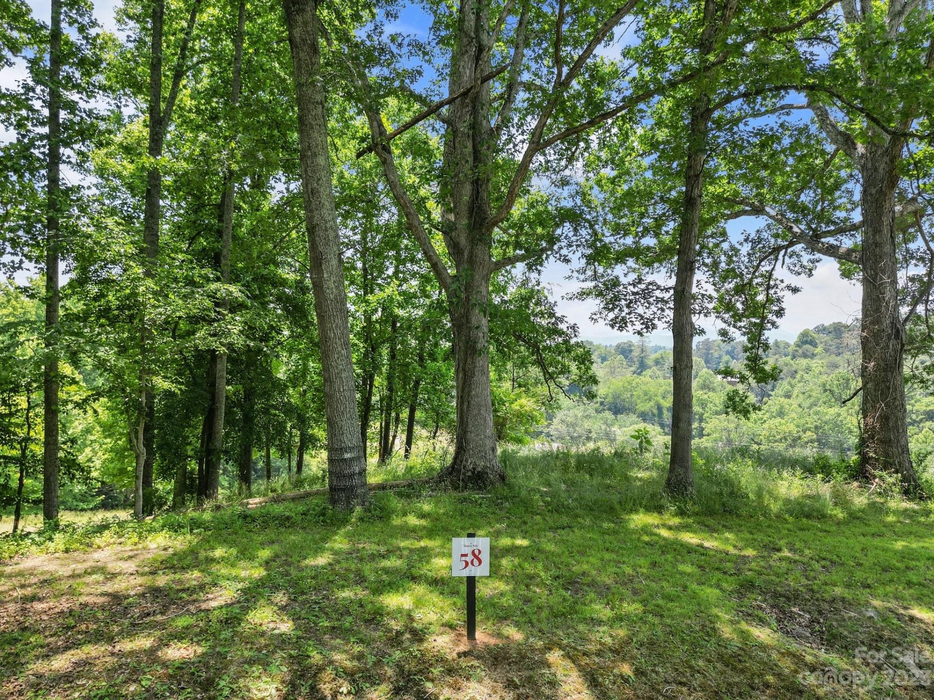 Property image 1 at 52 Sweet Fern Parkway, Asheville, NC 28804