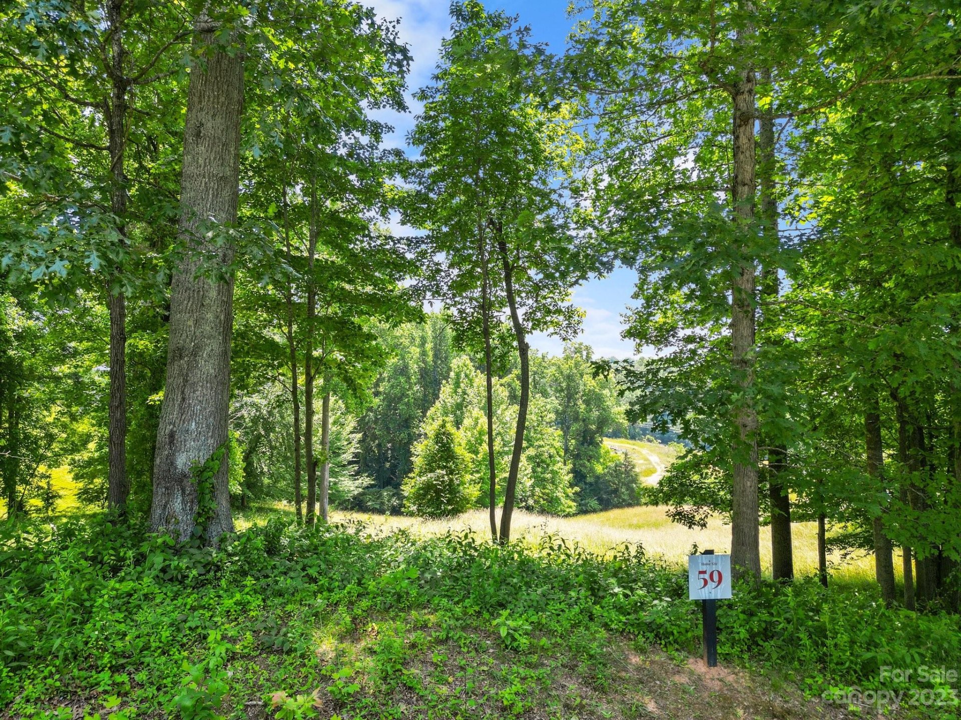 Property image 1 at , Asheville, NC 28804