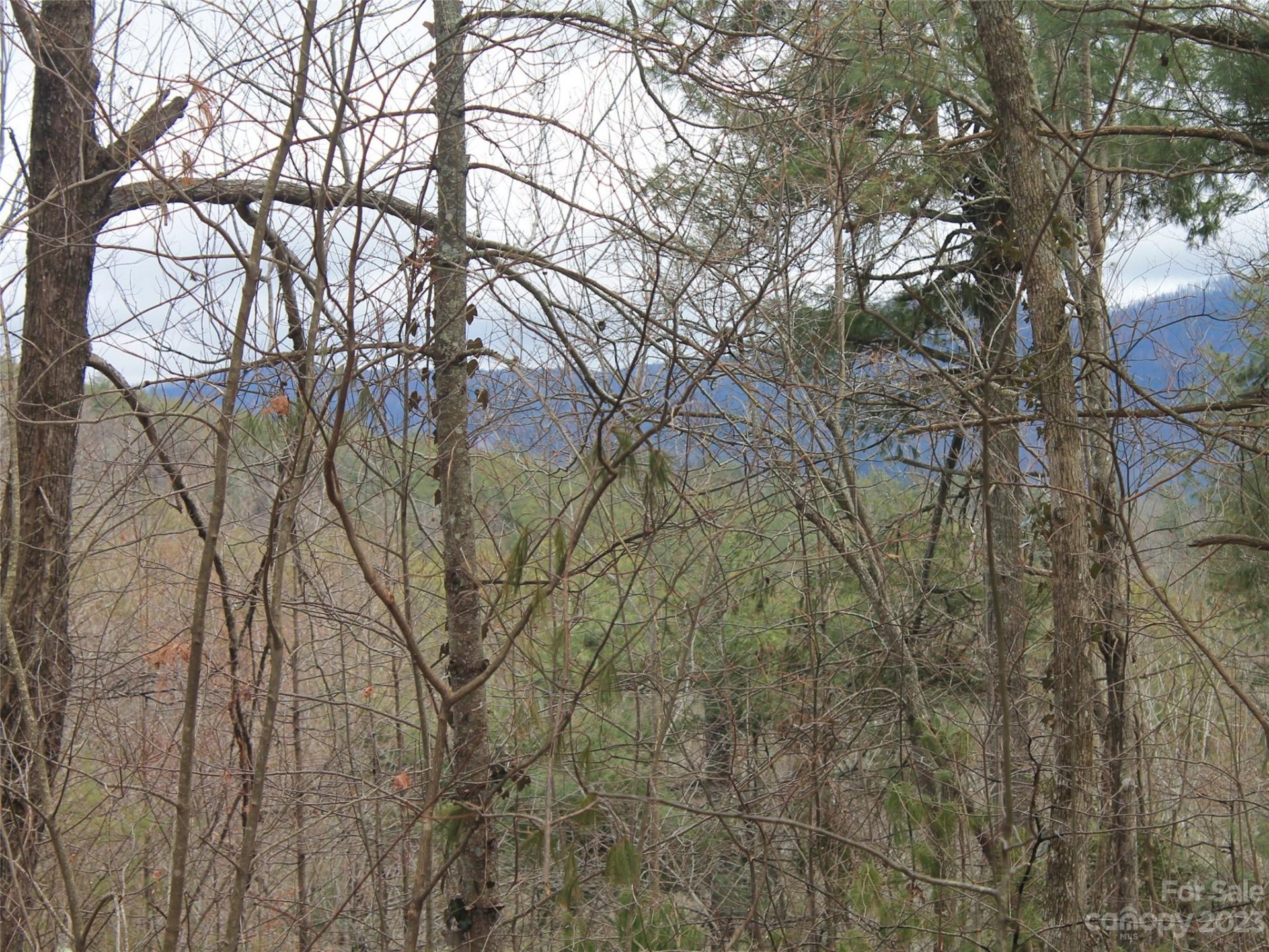 0000 Wildlife Trail