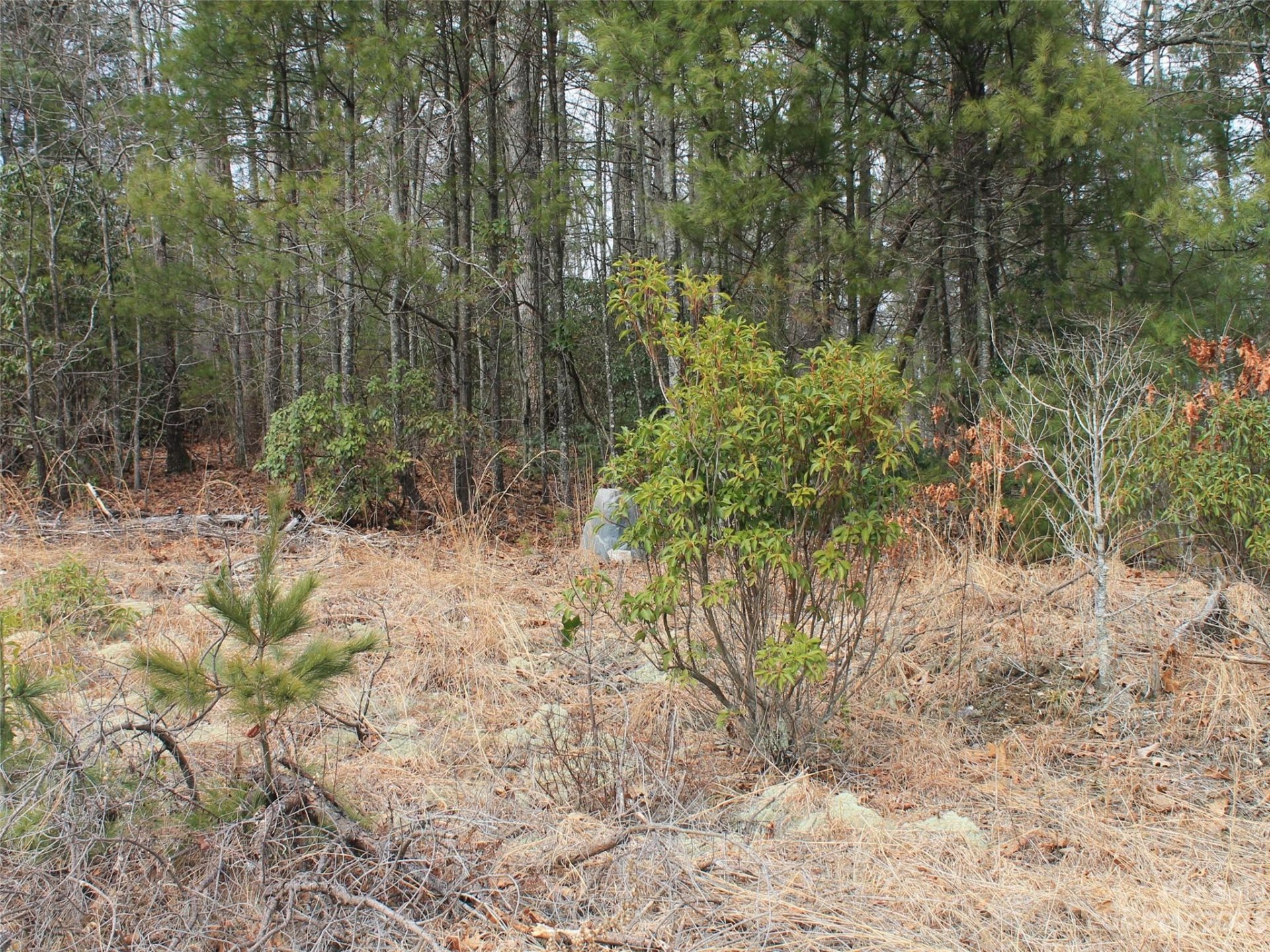 Property image 2 at 0000 Wildlife Trail, Hendersonville, NC 28739