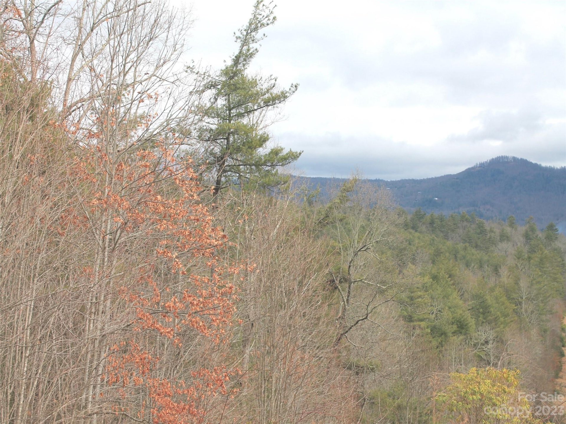 Property image 3 at 0000 Wildlife Trail, Hendersonville, NC 28739