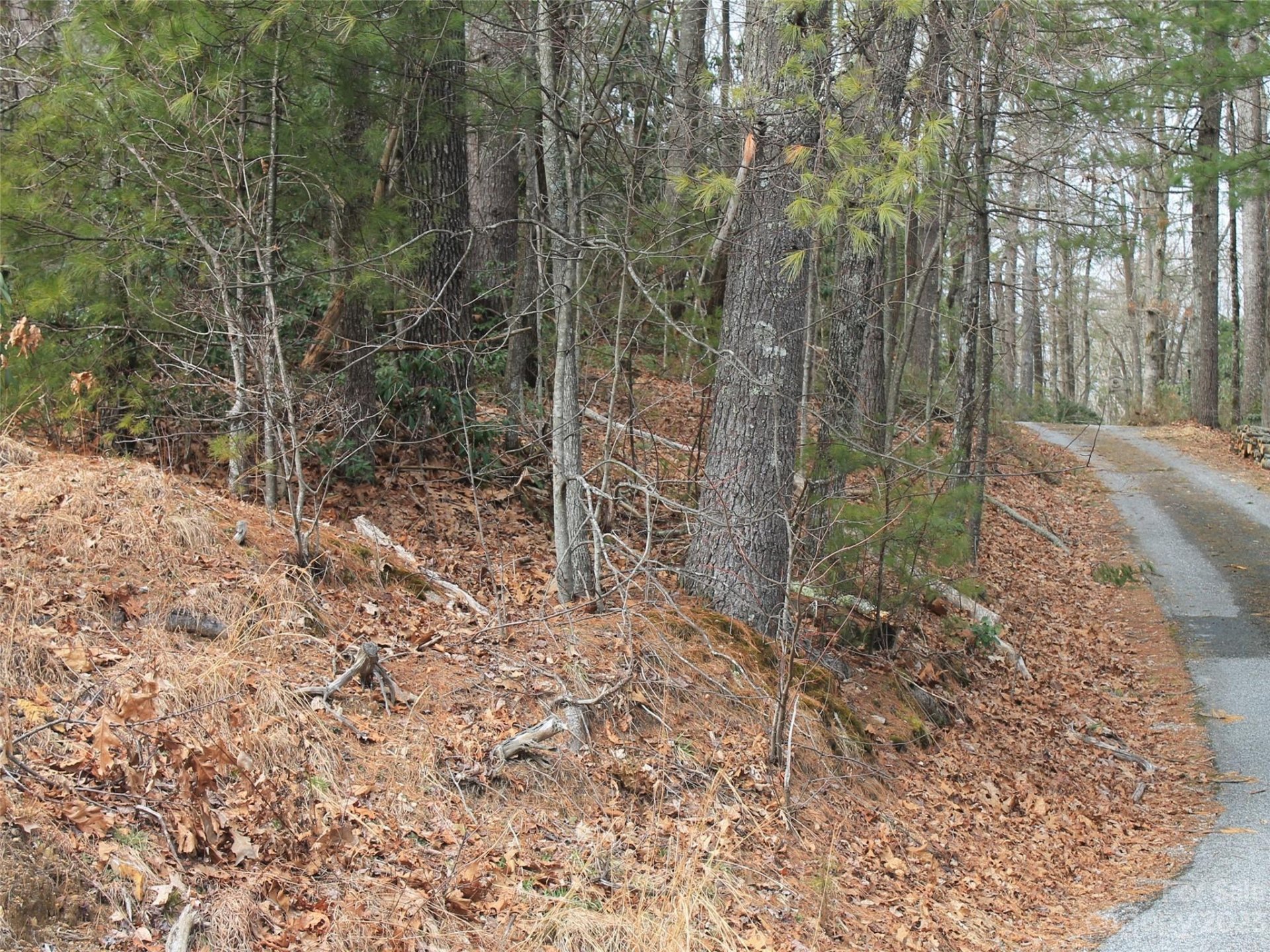 Property image 4 at 0000 Wildlife Trail, Hendersonville, NC 28739