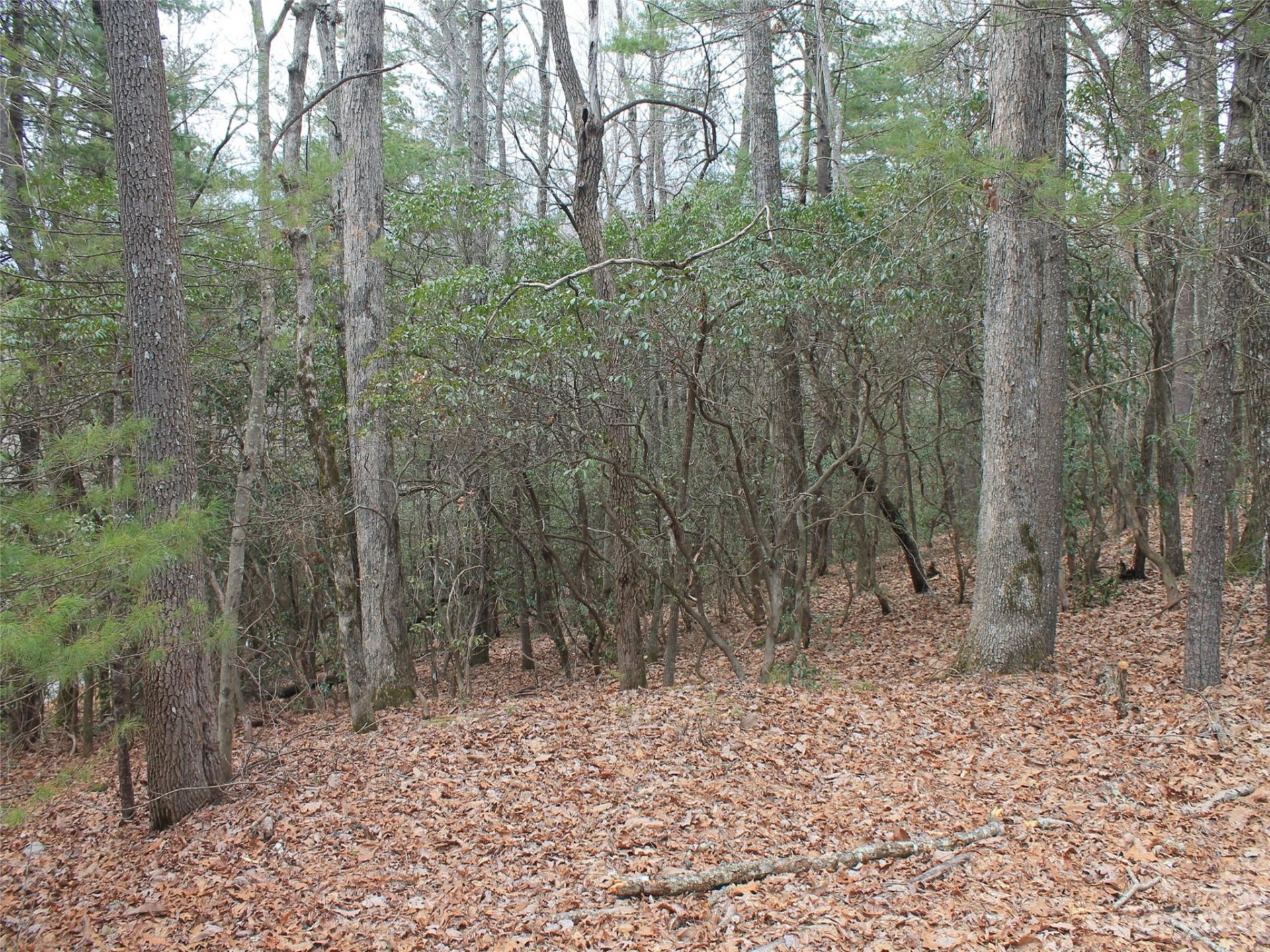 000 Wildlife Trail