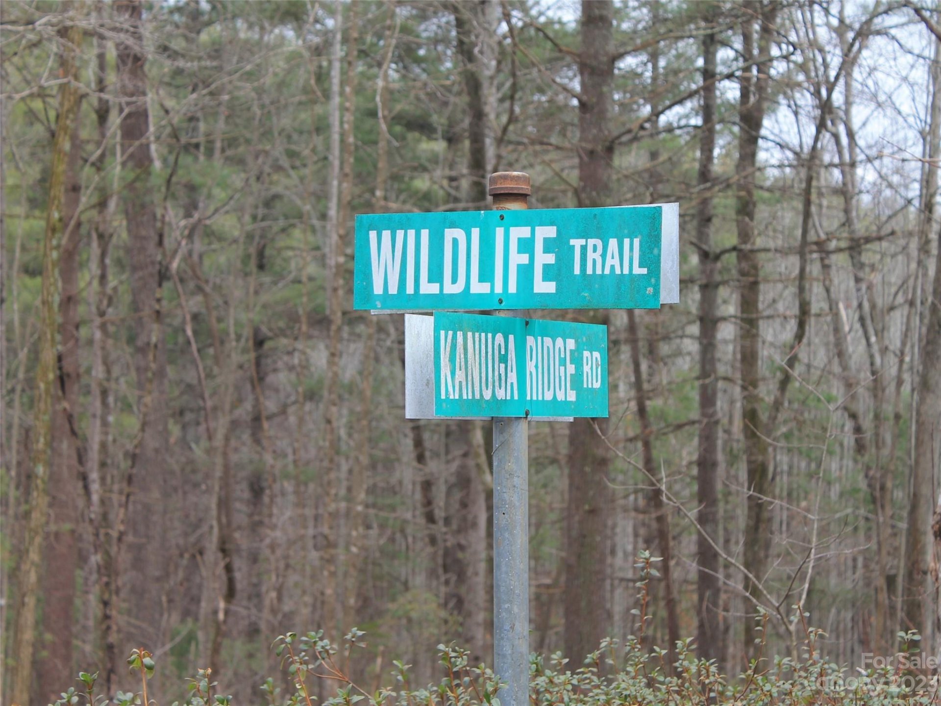 Property image 5 at 000 Wildlife Trail, Hendersonville, NC 28739